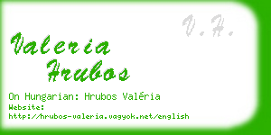 valeria hrubos business card
